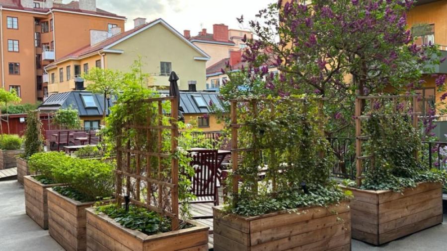 Gården maj 2023 - Bilden är privat och får inte använda utan Ordförandes tillstånd.